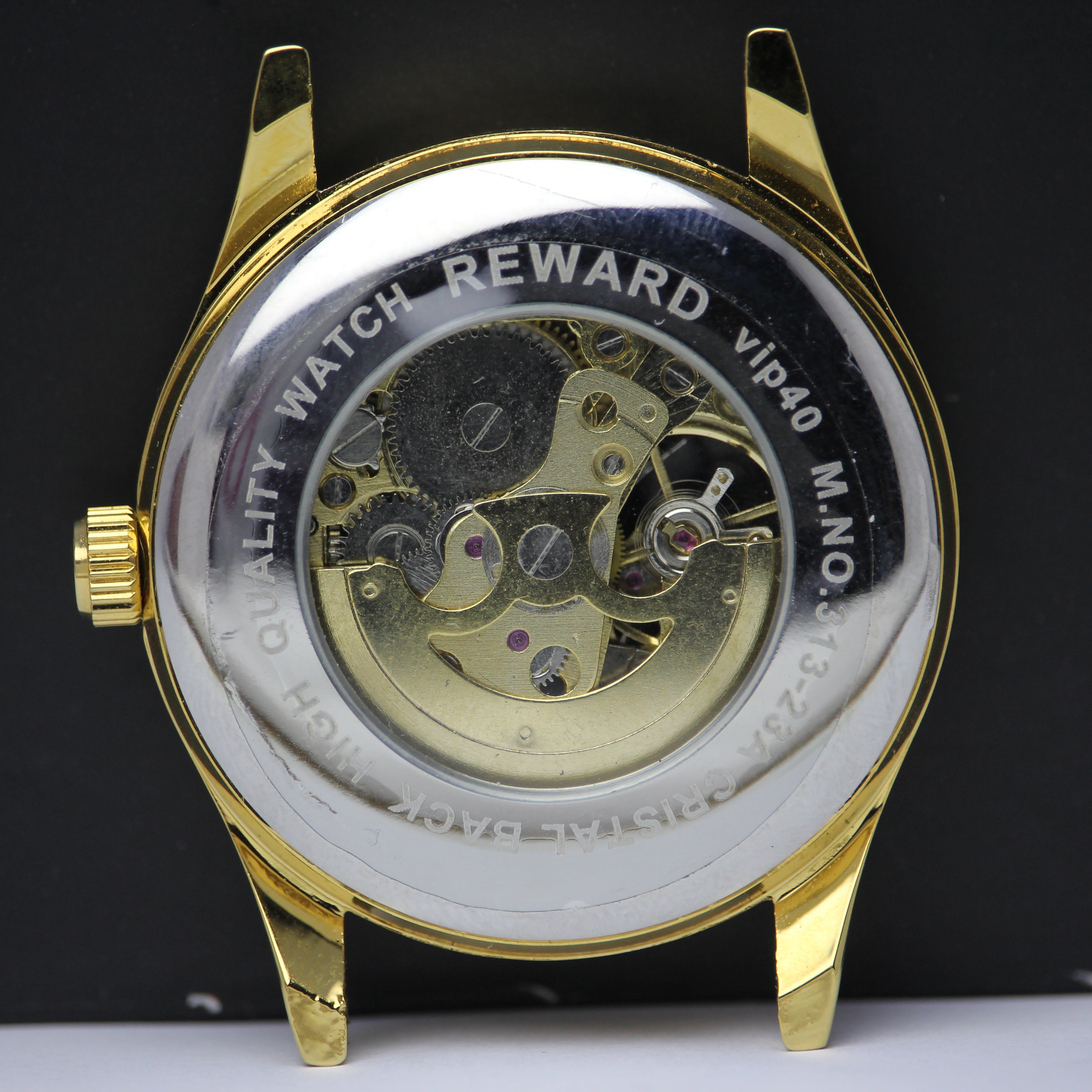 REWARD Men's Gold Skeleton Automatic Watch with Dual Leather Straps (BZ-FD02)